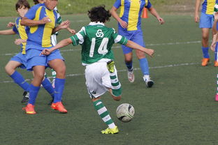 jiuyou.com-中国足球国家队备战友谊赛调整战术策略，国足 友谊赛